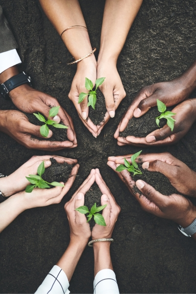 hands in dirt representing sustainability