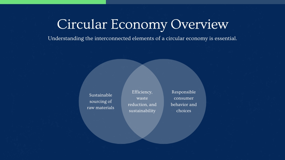 circular economy infographic