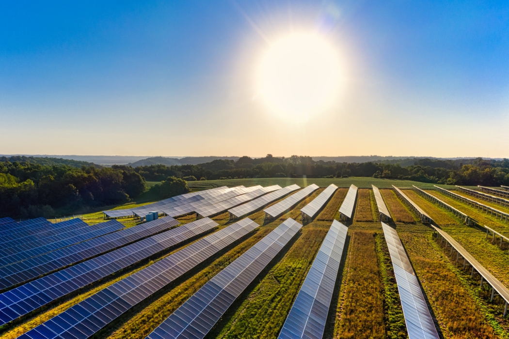 solar panels in the environment