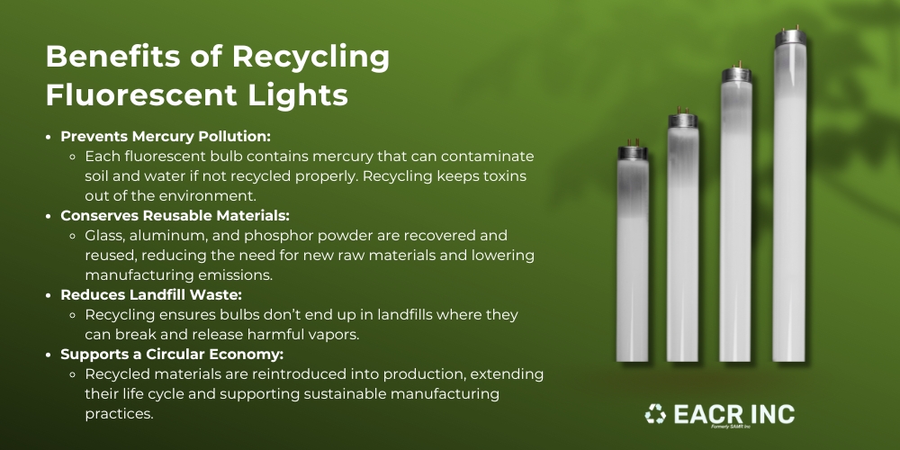 fluorescent light recycling infographic