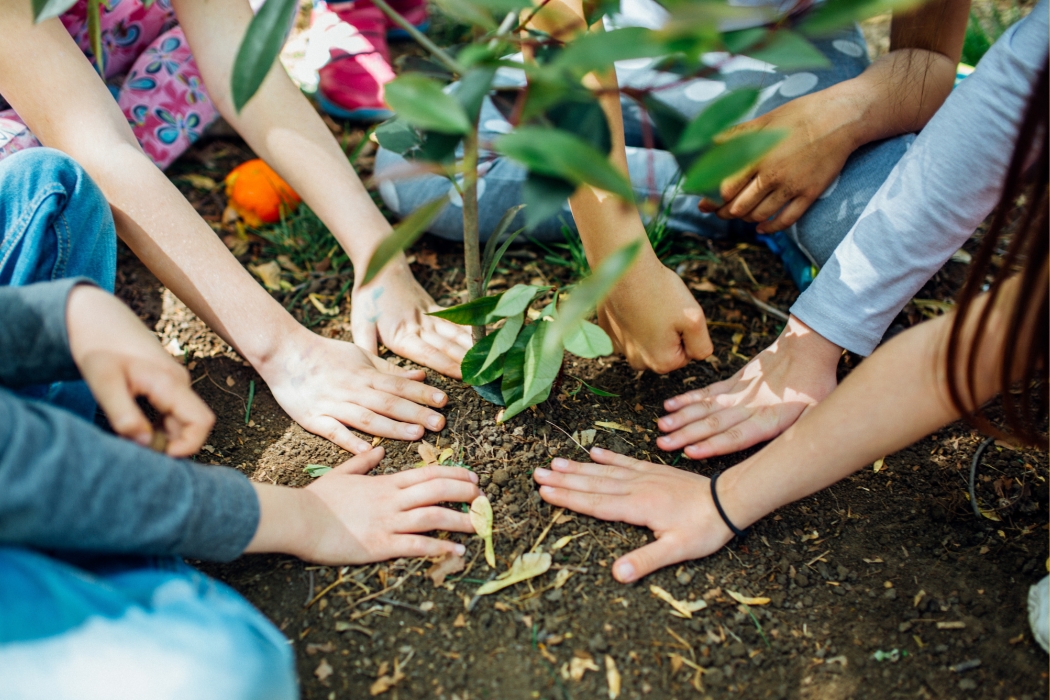 students planting tree for earth day