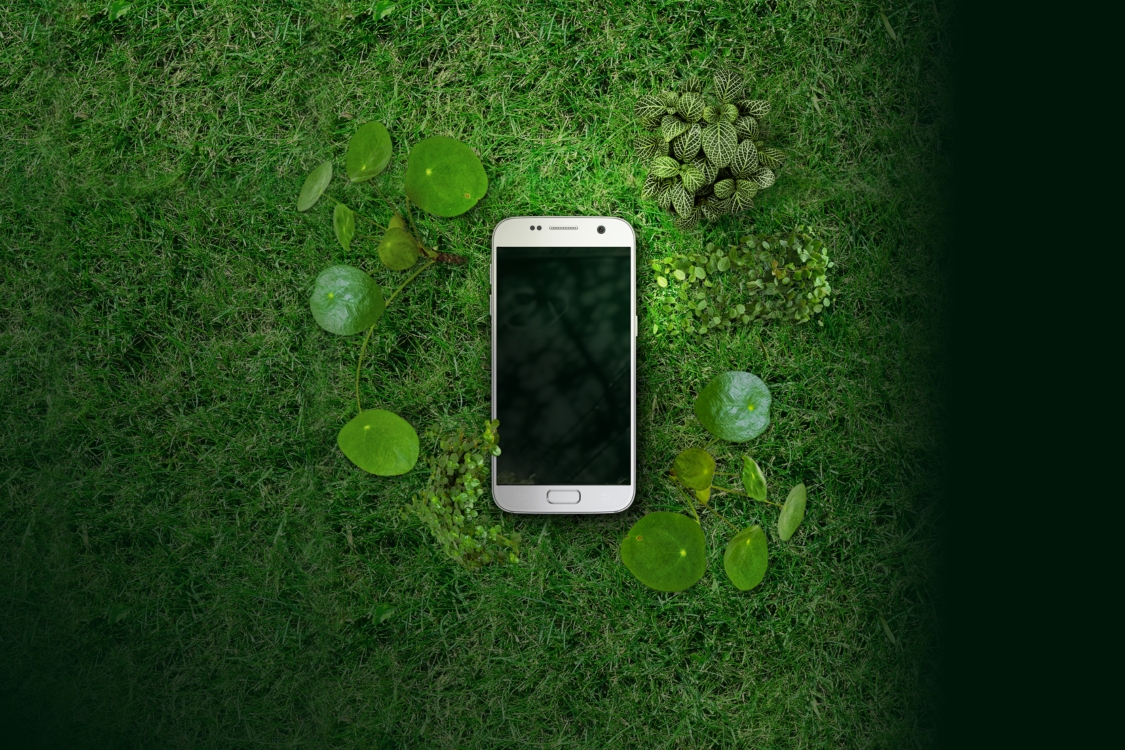phone in grass example