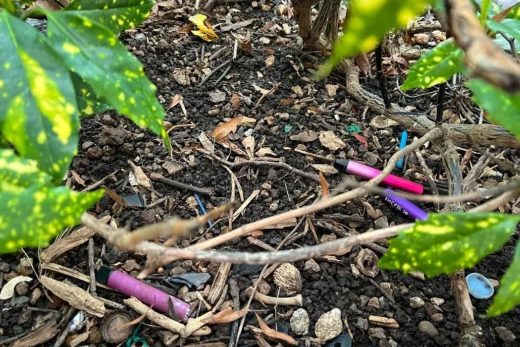 vapes on ground affecting environment