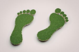 carbon footprint graphic