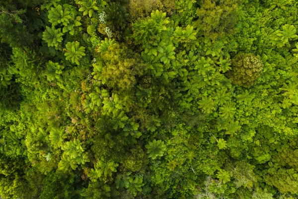 sustainability in Alabama